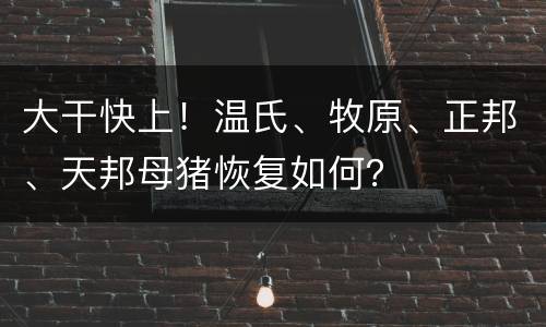 大干快上！温氏、牧原、正邦、天邦母猪恢复如何？