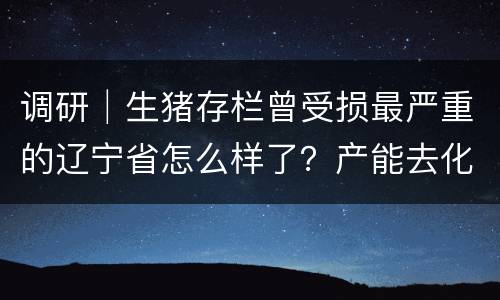 调研│生猪存栏曾受损最严重的辽宁省怎么样了？产能去化达50%，