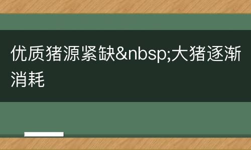 优质猪源紧缺&nbsp;大猪逐渐消耗