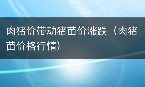 肉猪价带动猪苗价涨跌（肉猪苗价格行情）