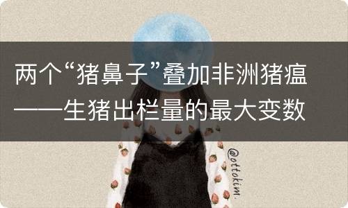 两个“猪鼻子”叠加非洲猪瘟——生猪出栏量的最大变数