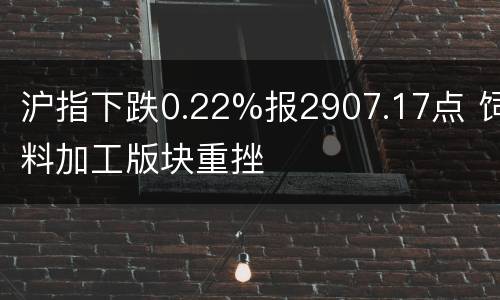 沪指下跌0.22%报2907.17点 饲料加工版块重挫