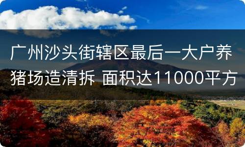 广州沙头街辖区最后一大户养猪场造清拆 面积达11000平方米
