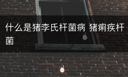 什么是猪李氏杆菌病 猪痢疾杆菌