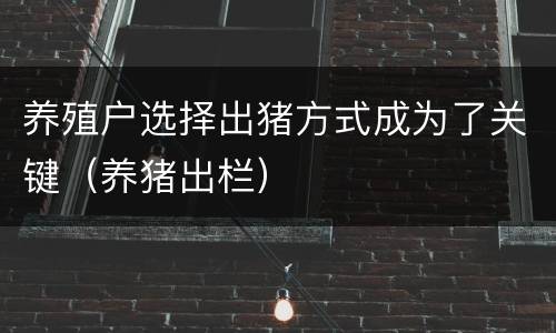 养殖户选择出猪方式成为了关键（养猪出栏）