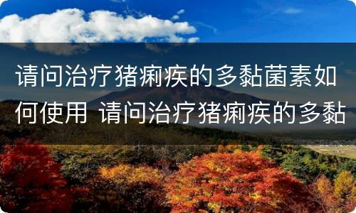 请问治疗猪痢疾的多黏菌素如何使用 请问治疗猪痢疾的多黏菌素如何使用呢