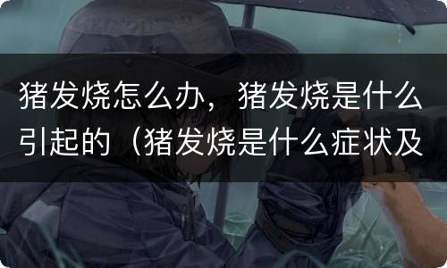 猪发烧怎么办，猪发烧是什么引起的（猪发烧是什么症状及治疗）