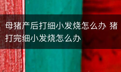 母猪产后打细小发烧怎么办 猪打完细小发烧怎么办