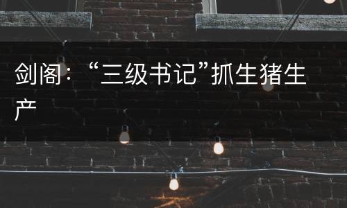 剑阁：“三级书记”抓生猪生产