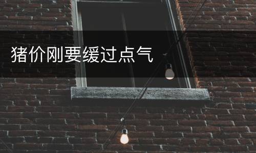 猪价刚要缓过点气