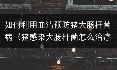 如何利用血清预防猪大肠杆菌病（猪感染大肠杆菌怎么治疗）