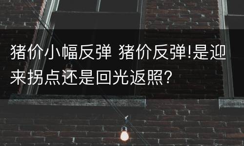 猪价小幅反弹 猪价反弹!是迎来拐点还是回光返照?