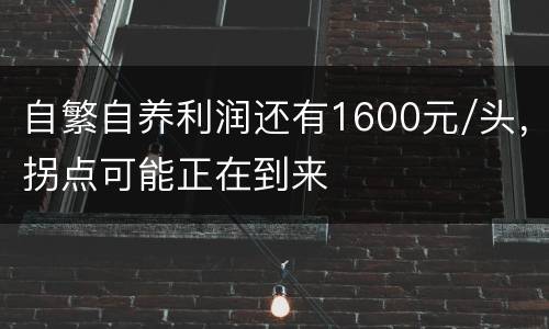 自繁自养利润还有1600元/头，拐点可能正在到来