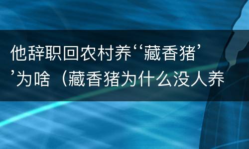 他辞职回农村养‘‘藏香猪’’为啥（藏香猪为什么没人养）