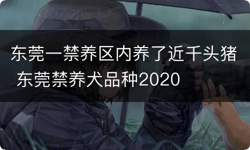 东莞一禁养区内养了近千头猪 东莞禁养犬品种2020