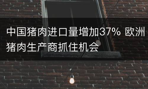 中国猪肉进口量增加37% 欧洲猪肉生产商抓住机会
