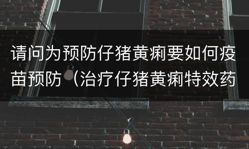 请问为预防仔猪黄痢要如何疫苗预防（治疗仔猪黄痢特效药）