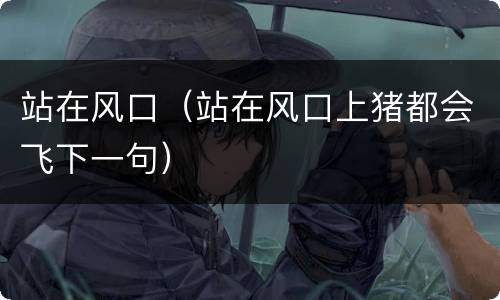 站在风口（站在风口上猪都会飞下一句）
