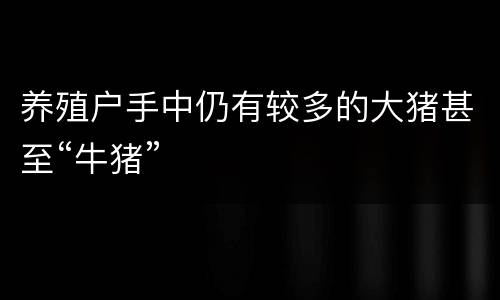 养殖户手中仍有较多的大猪甚至“牛猪”