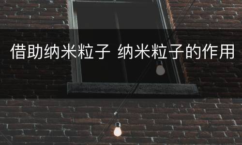 借助纳米粒子 纳米粒子的作用