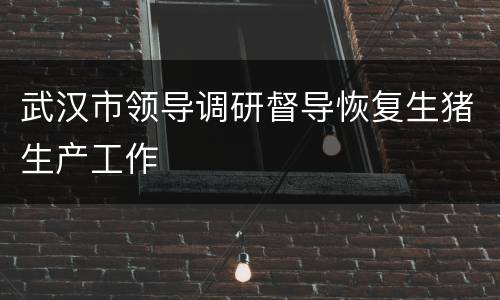 武汉市领导调研督导恢复生猪生产工作