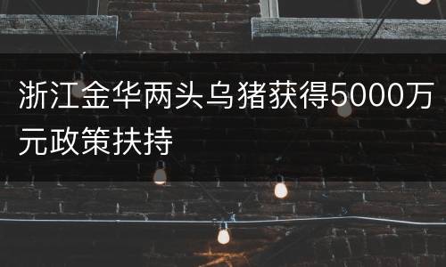 浙江金华两头乌猪获得5000万元政策扶持