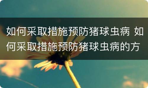 如何采取措施预防猪球虫病 如何采取措施预防猪球虫病的方法