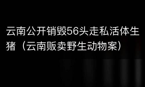 云南公开销毁56头走私活体生猪（云南贩卖野生动物案）