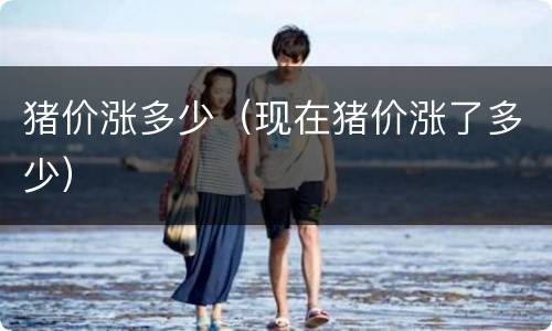 猪价涨多少（现在猪价涨了多少）