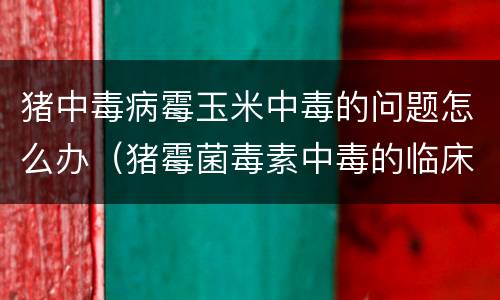 猪中毒病霉玉米中毒的问题怎么办（猪霉菌毒素中毒的临床表现玉米）