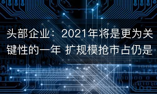 头部企业：2021年将是更为关键性的一年 扩规模抢市占仍是主线任务
