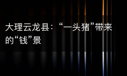 大理云龙县：“一头猪”带来的“钱”景