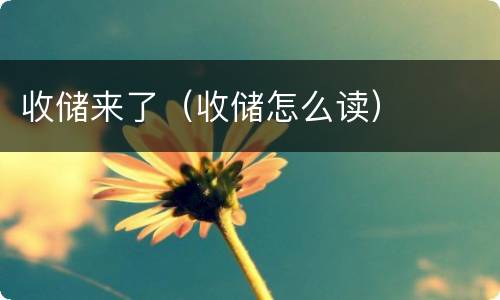 收储来了（收储怎么读）
