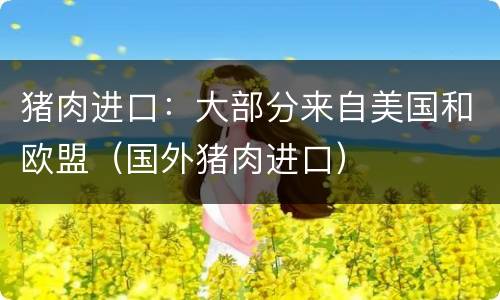 猪肉进口：大部分来自美国和欧盟（国外猪肉进口）
