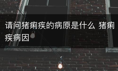 请问猪痢疾的病原是什么 猪痢疾病因