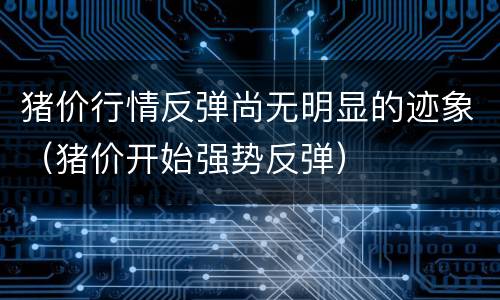 猪价行情反弹尚无明显的迹象（猪价开始强势反弹）