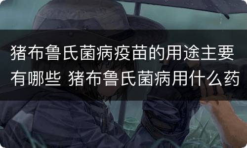 猪布鲁氏菌病疫苗的用途主要有哪些 猪布鲁氏菌病用什么药