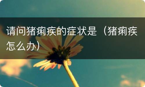 请问猪痢疾的症状是（猪痢疾怎么办）