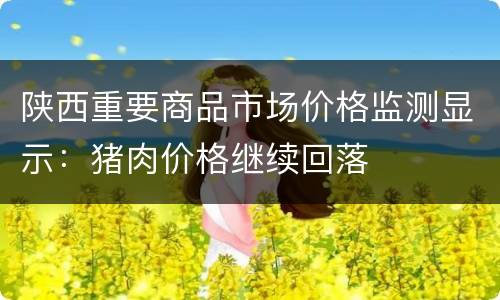 陕西重要商品市场价格监测显示：猪肉价格继续回落