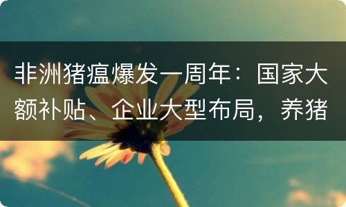 非洲猪瘟爆发一周年：国家大额补贴、企业大型布局，养猪业是否还