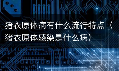 猪衣原体病有什么流行特点（猪衣原体感染是什么病）