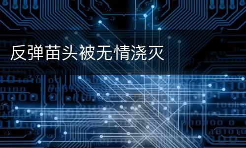 反弹苗头被无情浇灭