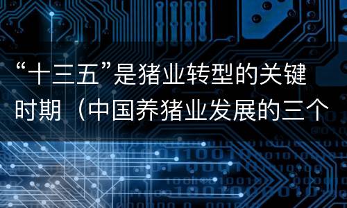 “十三五”是猪业转型的关键时期（中国养猪业发展的三个阶段）