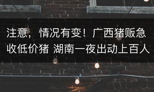 注意，情况有变！广西猪贩急收低价猪 湖南一夜出动上百人蹲守非