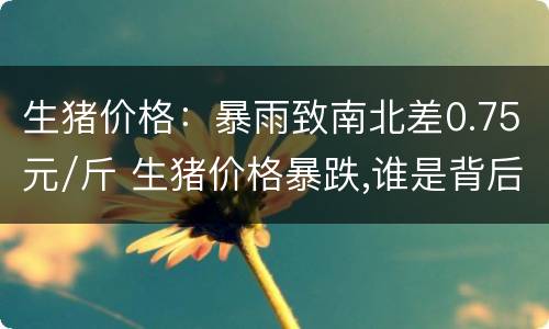 生猪价格：暴雨致南北差0.75元/斤 生猪价格暴跌,谁是背后推手?