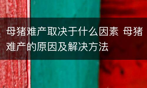 母猪难产取决于什么因素 母猪难产的原因及解决方法
