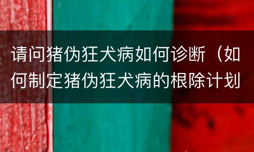 请问猪伪狂犬病如何诊断（如何制定猪伪狂犬病的根除计划）
