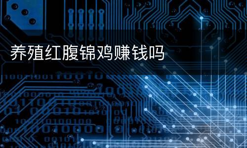 养殖红腹锦鸡赚钱吗