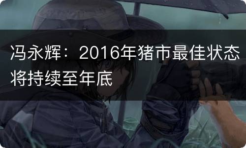 冯永辉：2016年猪市最佳状态将持续至年底