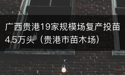 广西贵港19家规模场复产投苗4.5万头（贵港市苗木场）
